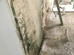 residential mould reation gold