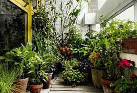 Make Your Own Kitchen Garden More Or