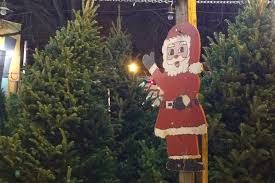 Image result for christmas tree lots