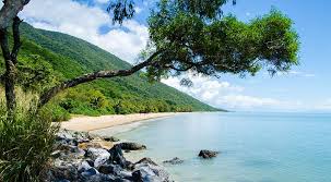 premium daintree rainforest tour