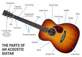 the parts of an acoustic guitar sound