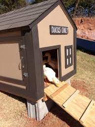 Diy Duck House Coop Plans Ideas