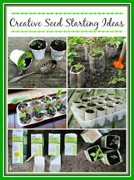 10 Creative Seed Starting Ideas Diy