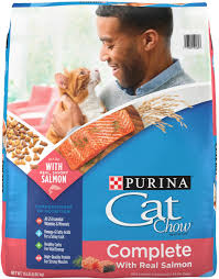 high protein salmon dry cat food