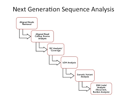 Gene Arrays Dna Sequencing Analysis