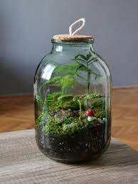 Diy Create A Kidsproof Mason Jar Terrarium