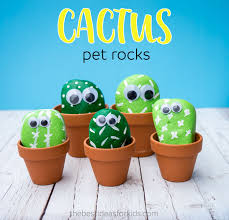 Pet Cactus Rocks The Best Ideas For Kids