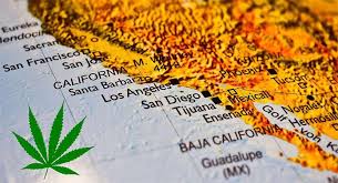 Maybe you would like to learn more about one of these? Medical Marijuana Card In California Ca Online Guide 2021