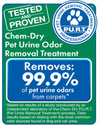 pet urine odor removal chem dry of