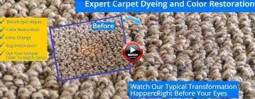 carpet repairs auckland
