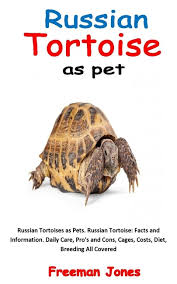 Russian Tortoises As Pets Russian
