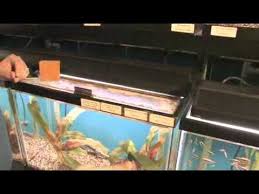 Remove Oxidation From Aquarium Glass