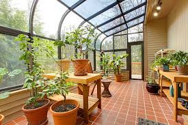 Best Things To Grow In Your Greenhouse