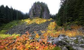 table rock wilderness