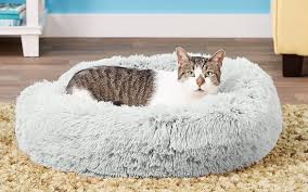 cat furniture for apartments stylish