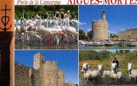 Maison tout confort à Aigues-Mortes en Camargue dans le Gard dans le  Languedoc-Roussillon - Occitanie
