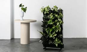 The Vertical Garden Wall Is The Low