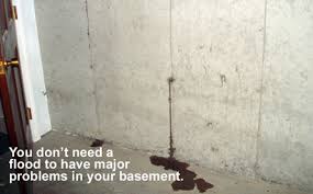 mold mildew missouri basement