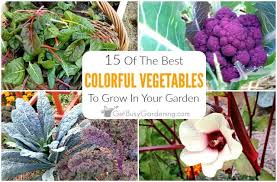 15 Colorful Vegetables To Grow In Your