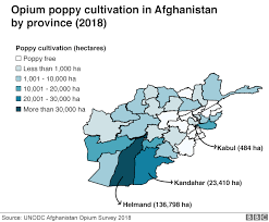 Half of afghan population now estimated to be displaced by war. Why Is There A War In Afghanistan The Short Medium And Long Story Bbc News