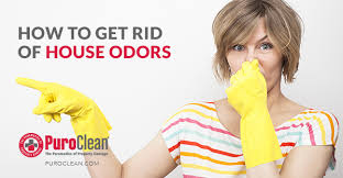 how to get rid of house odors