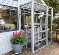 18 catio ideas for your furry friend