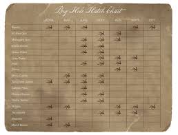 Monthly Fly Hatch Chart Big Hole Lodge