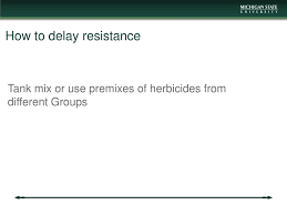 Guides To Resistance Management Ppt Download