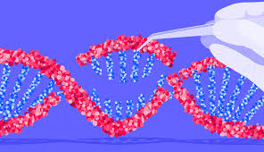 genetic mutation how do gene variants