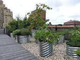 urban gardening ideas