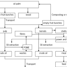 Composition Of Oil Crops And Wheat In Of Dry Matter
