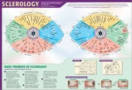 Image Result For Sclerology Pdf Sclerology Iridology