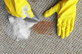how to clean b boat carpet tips and