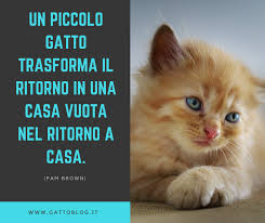 Gattoblog - https://www.gattoblog.it/frasi-sui-gatti/ | Facebook