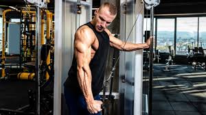 the best chest and triceps workout