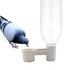 Mangeoire en plastique pour oiseaux de compagnie, bouteille d'eau, tasse  jetable pour chat, pigeon, perruche, chaud pour pigeon, maison, jardin |  AliExpress
