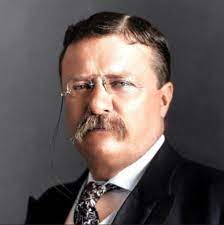 Life & Presidency of Theodore Roosevelt, 26th President of the United States | Baxter County Library