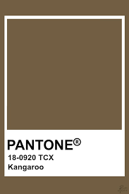 Pantone Kangaroo In 2019 Pantone Colour Palettes Brown