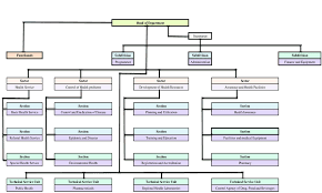 Organizational Structure Of Provincial Health Department