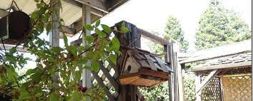Nestwatch Juncos Nest In A Birdhouse
