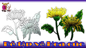 Bé tập vẽ Hoa cúc theo mẫu | drawing daisy flower - YouTube