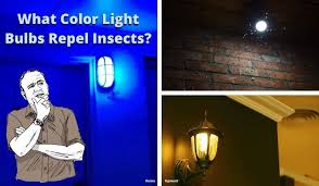 What Color Light Bulb Repels Insects