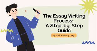 the essay writing process a step by