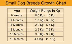 Puppy Development Stages And Growth Chart Marshallspetzone