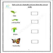 92 3rd grade science worksheets. Class 3 Soft Copy Worksheets Pdf English Maths Science Schoolconnects