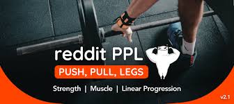 upper lower vs push pull legs which