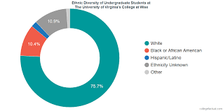 The University Of Virginias College At Wise Diversity