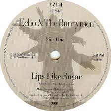 echo and the bunnymen lips like sugar