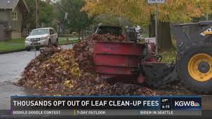 thousands opt out of leaf cleanup fees