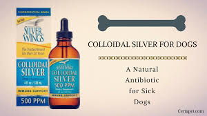 Colloidal Silver For Dogs A Natural Antibiotic For Sick